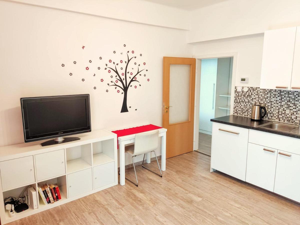 Apartmán Zizkov Praha